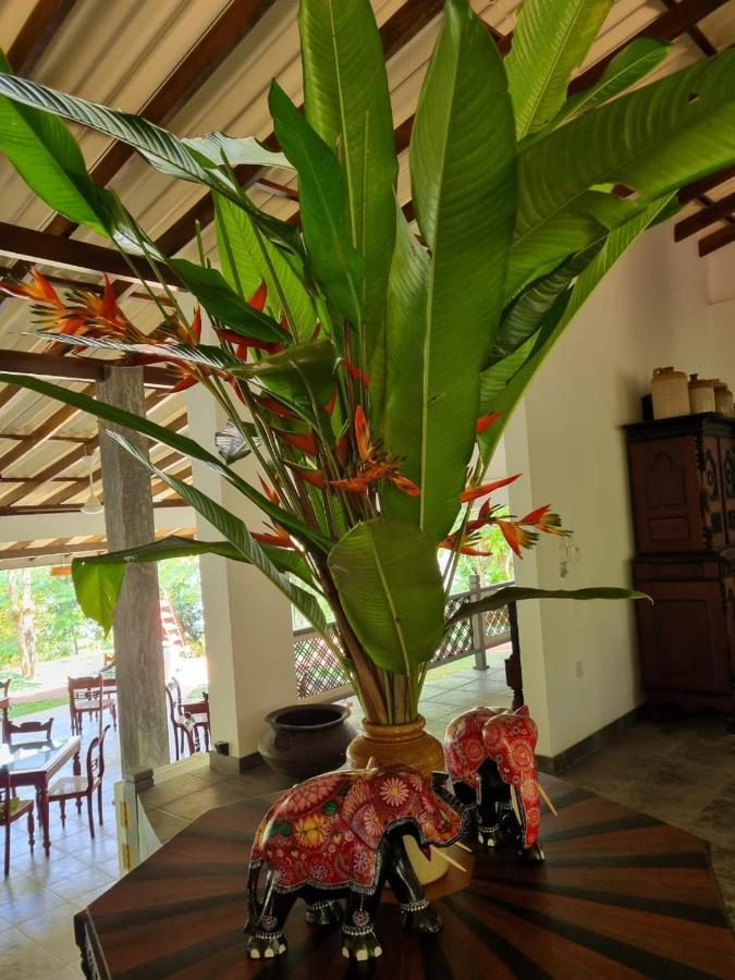 Villa Birdlake Hikkaduwa Exterior foto