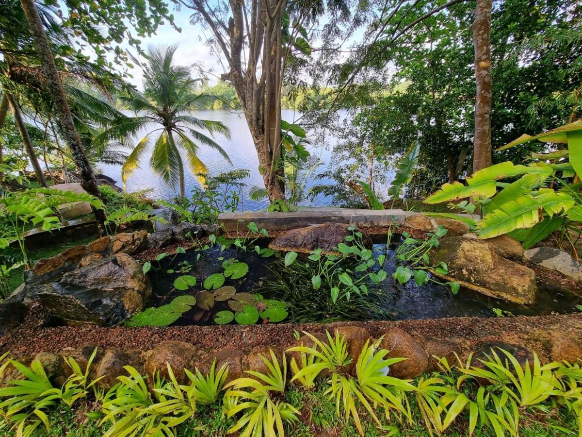 Villa Birdlake Hikkaduwa Exterior foto