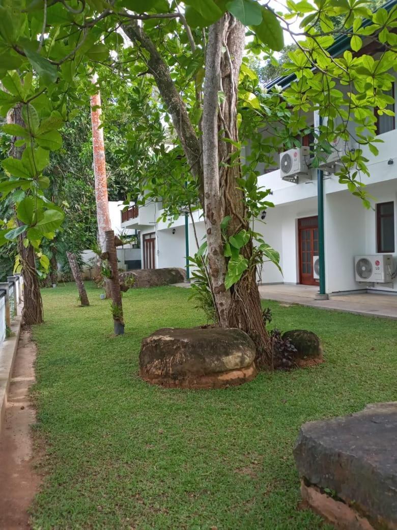 Villa Birdlake Hikkaduwa Exterior foto